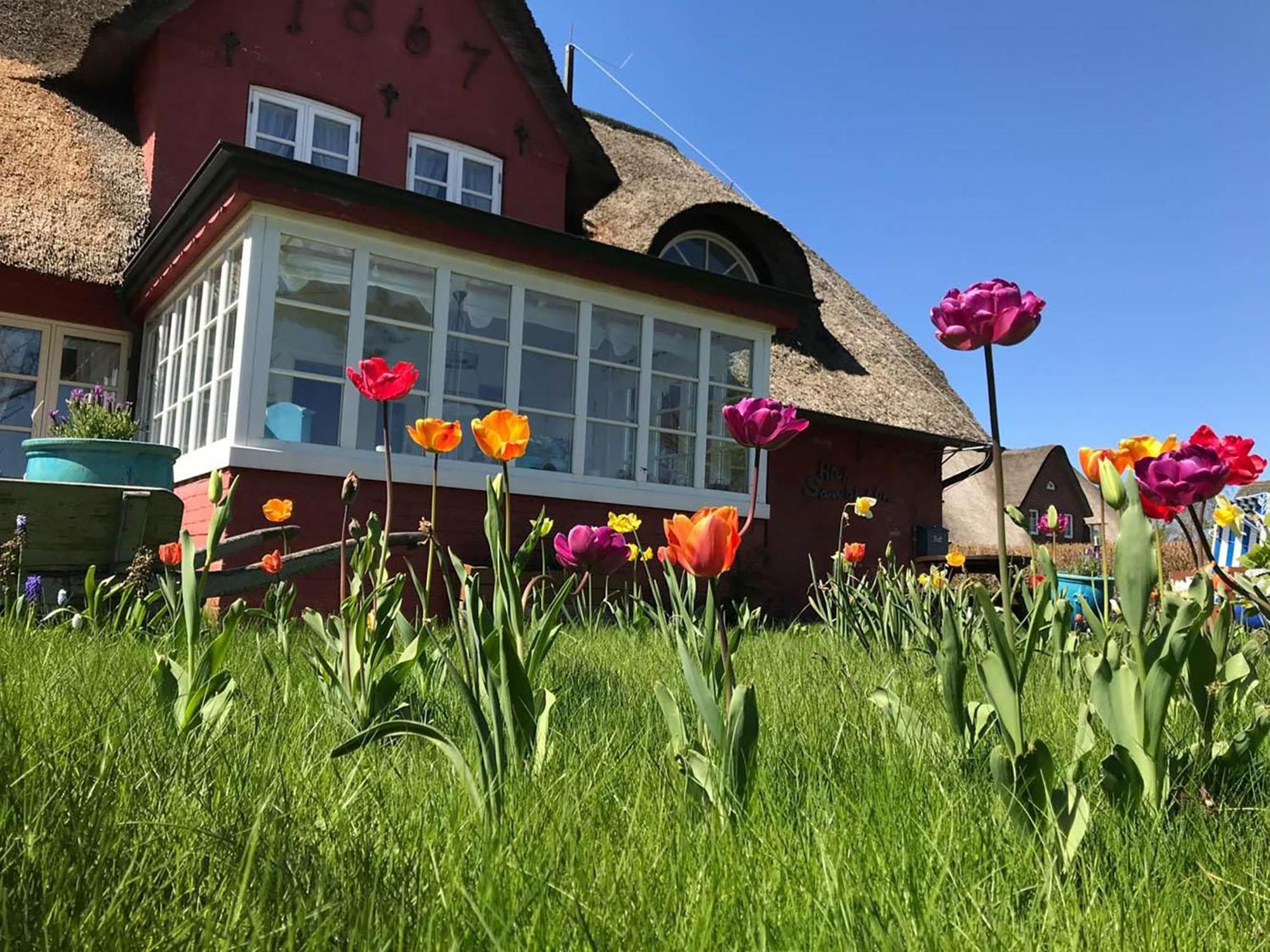 Hues Sanskiin Ferienwohnung *Brombelbei* Suddorf Buitenkant foto